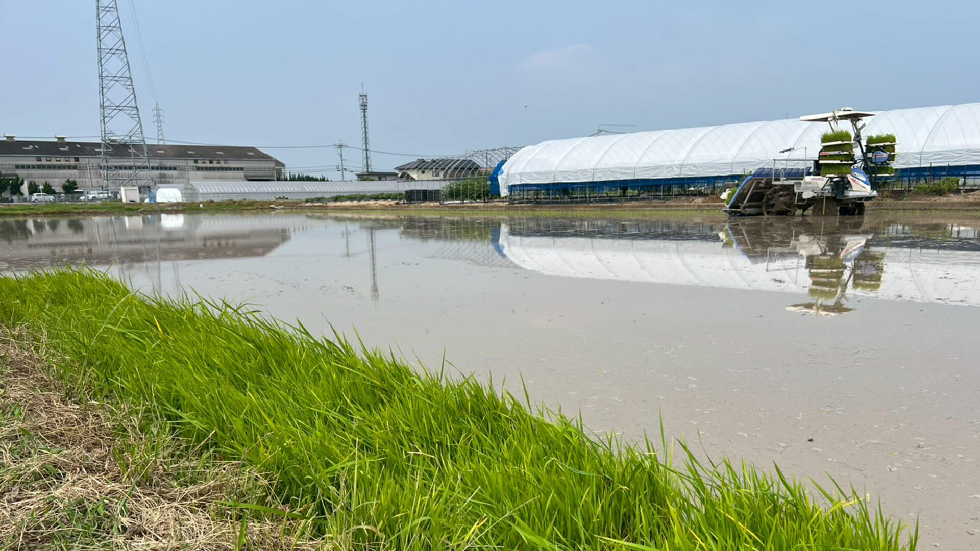 水の張った水田