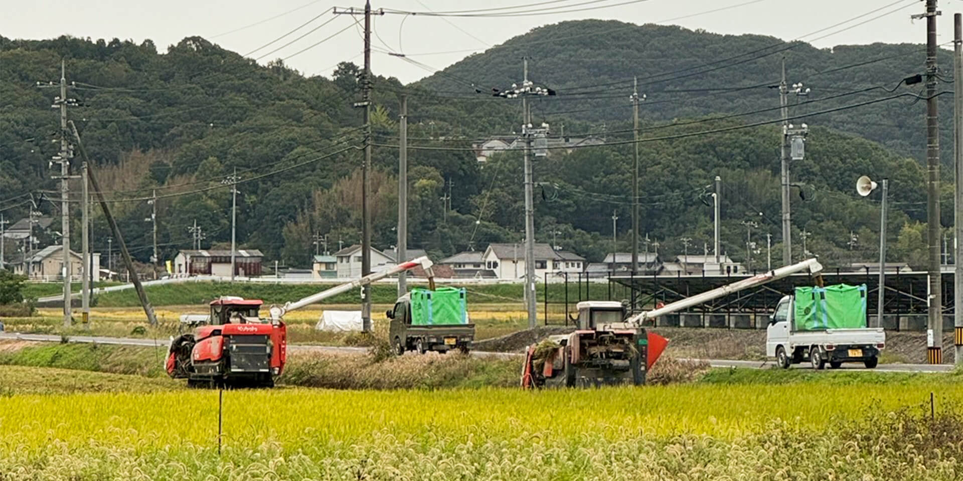 収穫シーズンの田園風景。2台のコンバインが並走し、軽トラックの荷台へ収穫した米を移し替えている様子。